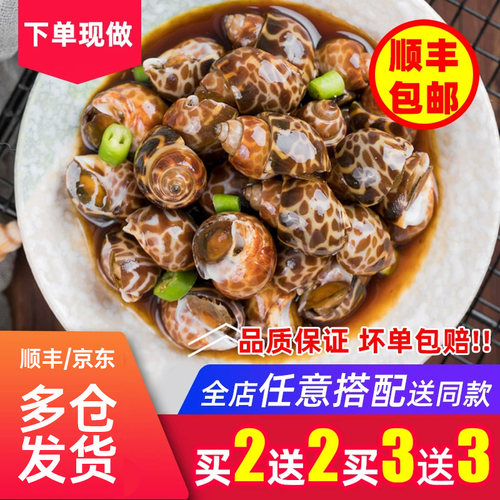 青岛吧唧小厨麻辣花螺东风螺捞汁小海鲜熟食即食罐装香螺腌制水产