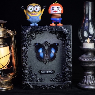 蝴蝶标本相框蓝鸟蛱蝶爱情鸟稀有摆件情侣生日礼物成品展翅装饰