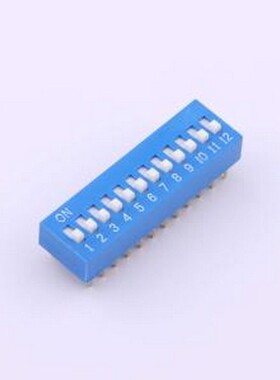 DS-12-B-T 拨码开关 2.54mm间距 12位 直插平拨凸起式 蓝色 拨码