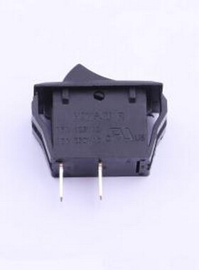 R-2-110-C5N-BB 船型开关 32*16.5开关无灯 插件