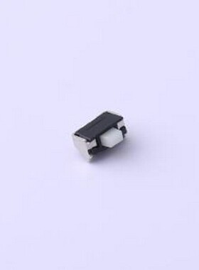 EVPAKE31A 轻触开关 3.9*2.9*1.6mm 立贴 轻触开关 SMD,2.9x3.9mm