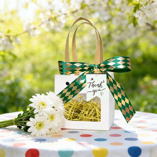 正方形迷你手提礼品袋伴手礼生日礼物口红香水杯子包装礼品袋子空