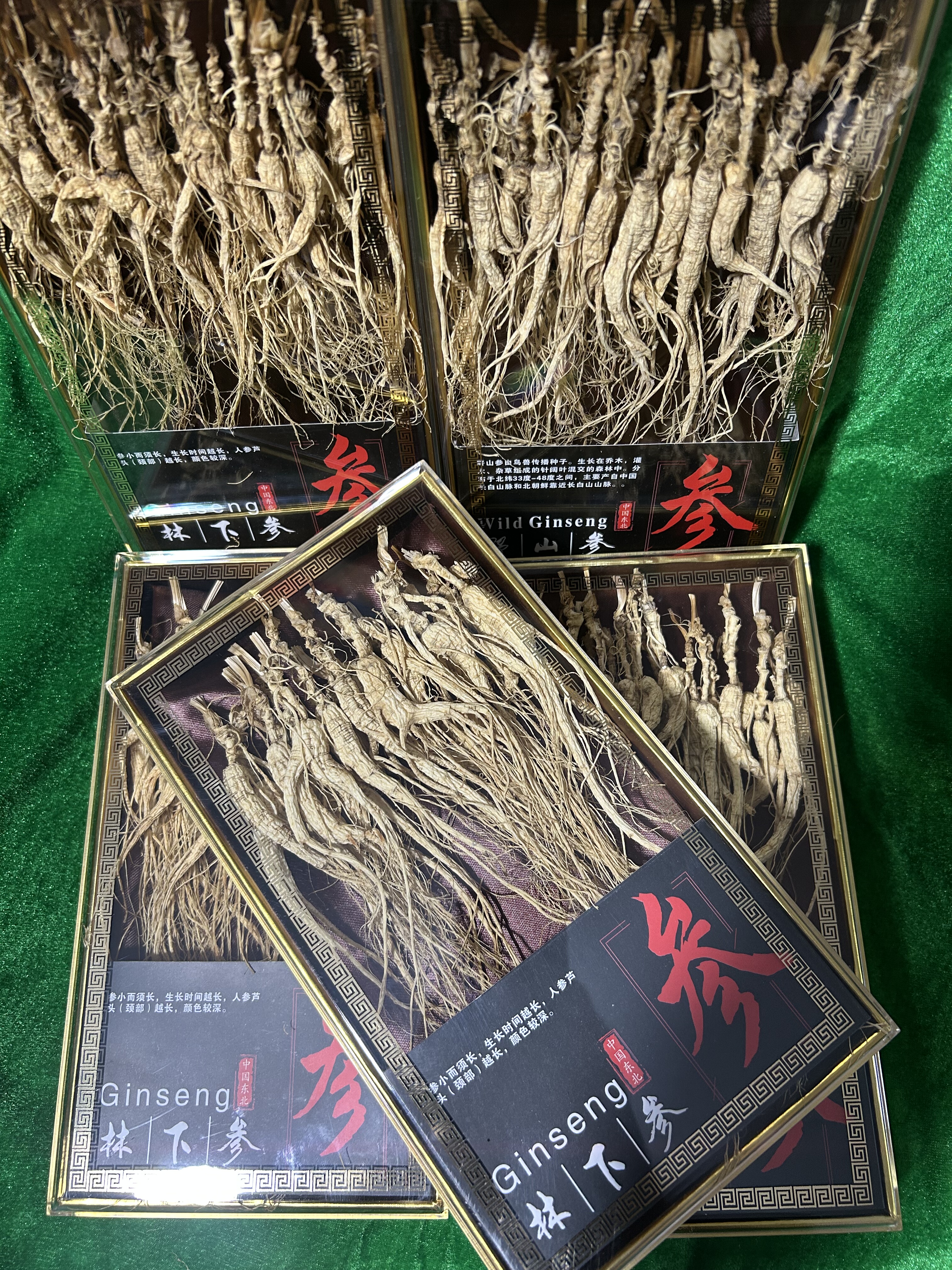 东北人参长白山野山参礼盒人参干参足年泡酒炖汤整枝盒装送礼自用