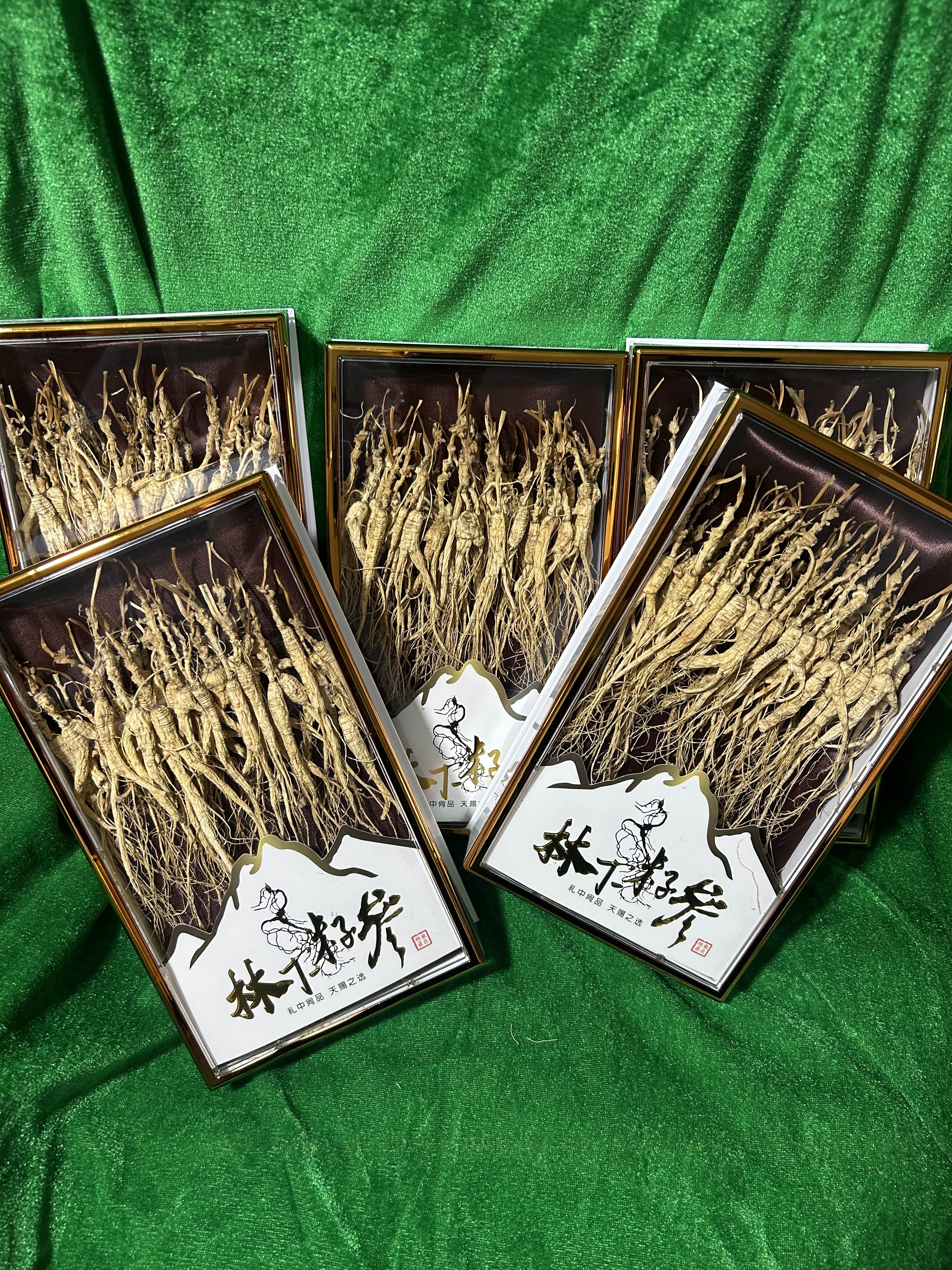 东北长白山野山参林下参礼盒东北森林植物老山参泡酒煲汤炖鸡