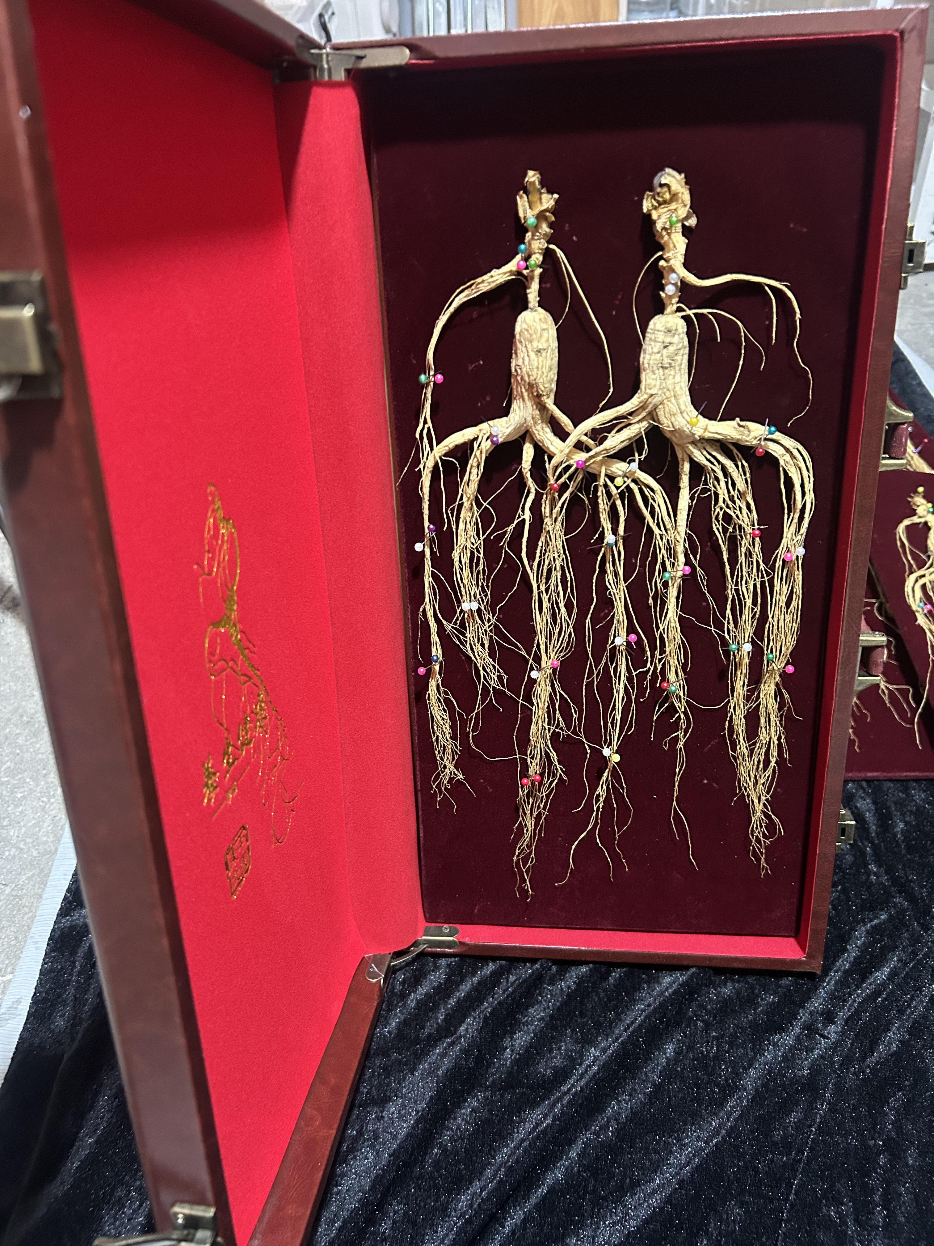 长白山正宗林下参东北特产人参秋冬进补老山参火锅食材老年煲汤料