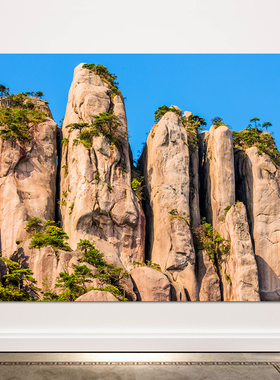 世界镇宅高山自粘风景画