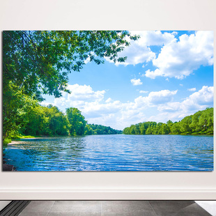 风景画湖泊青山绿水唯美湖水树林森林玄关入门餐厅主卧客厅自粘画