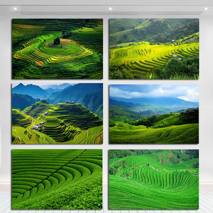 唯美风景田园风光茶园绿色梯田客厅沙发背景墙挂画儿童卧室装饰画