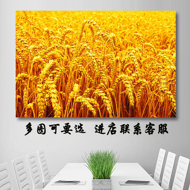五谷丰登秋天麦田景色卧室粘画金色稻田秋收硕果累累餐厅食堂壁画 - 实物图