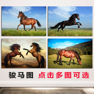骏马海报画一匹马吃草的马野马动物画白马黑马宿舍客厅装饰墙贴画