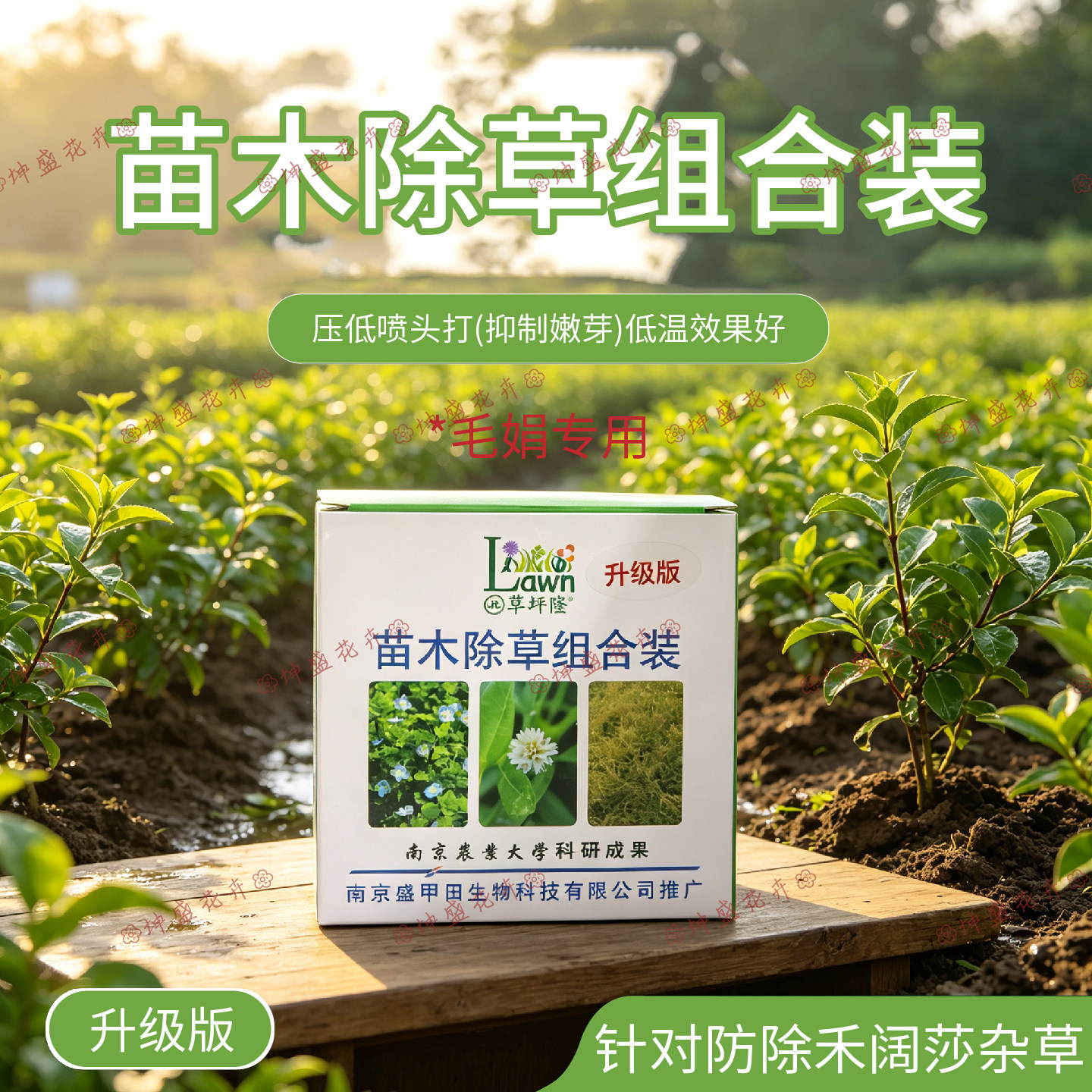 苗木除草组合装毛娟版升级除草剂
