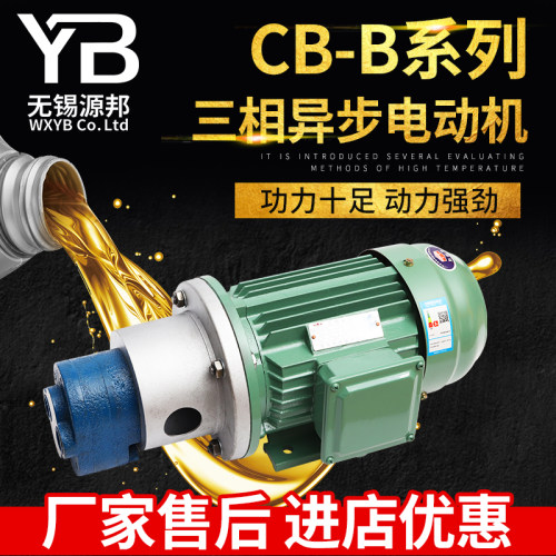 电动机三相全铜齿轮油泵