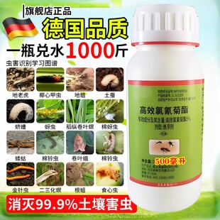 菊酯类杀虫剂室内拟除虫菊酯杀虫剂家用蟑螂药蚊子苍蝇跳蚤喷雾剂