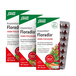 SALUS铁元红铁片叶酸片84粒德国进口孕妇补铁补叶酸补维生素C*3