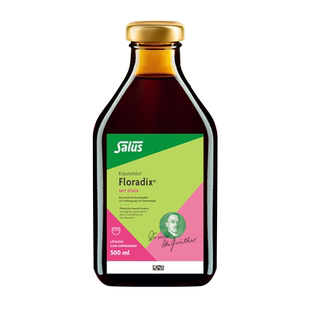 Salus Floradix 德国绿版铁元口服液补铁补气血成人孕妇儿童500ml