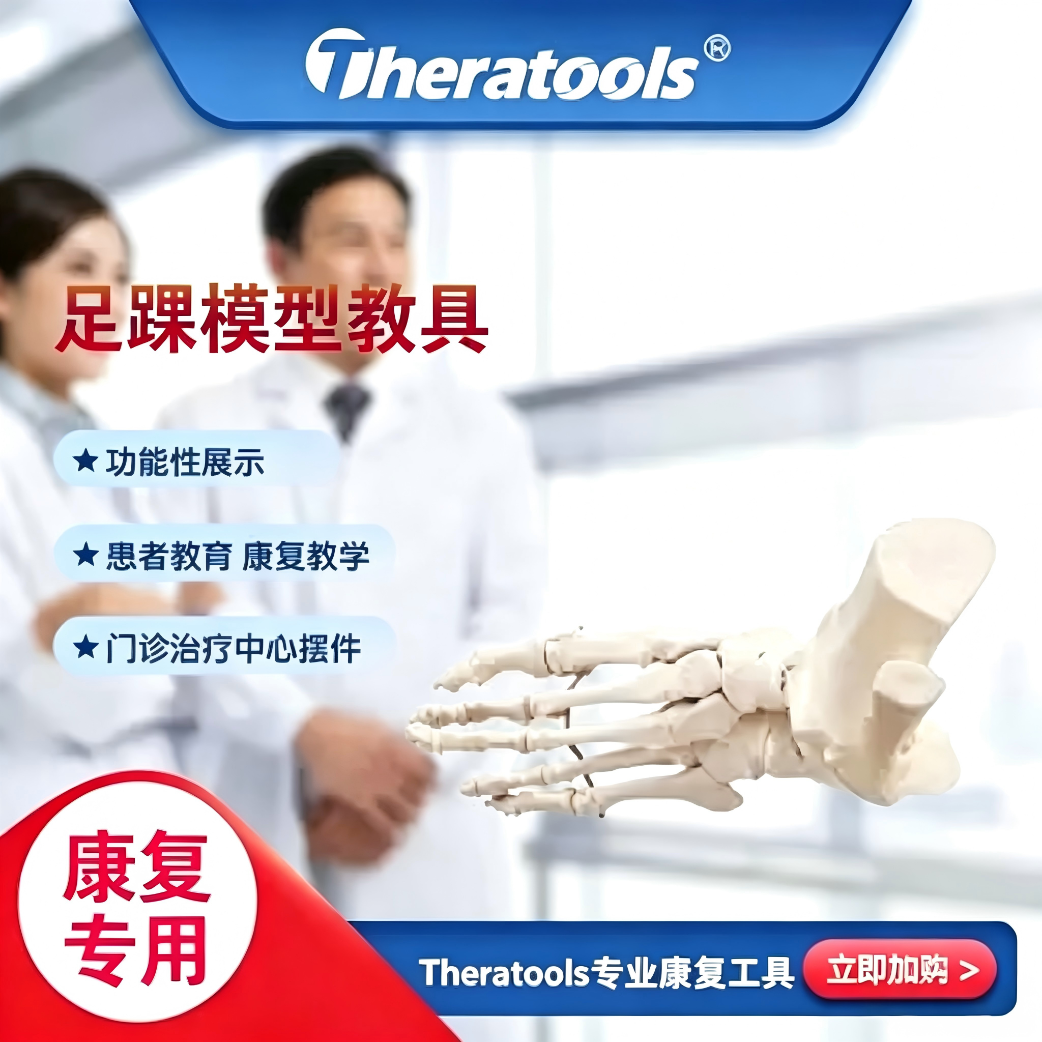 Theratools足踝模型教具脚骨关节可活动功能展示足骨下肢生物力学