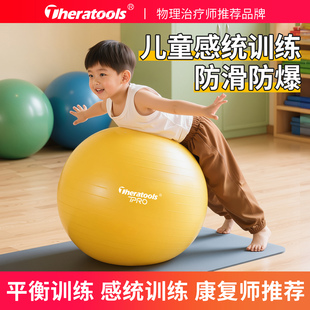儿童瑜伽球感统训练大龙球婴儿45cm早教平衡球超大号宝宝健身器材