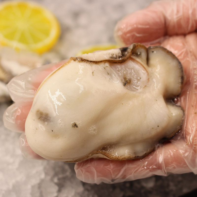 大蚝肉潮汕蚝花 500克,水产肉类/新鲜蔬果/熟食,生蚝,淘宝优惠券,粉丝福利购,淘宝优惠卷