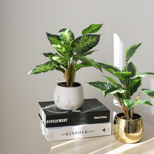 高级仿真绿植室内植物小盆栽造景假花桌面摆件万年青家居摆设装饰