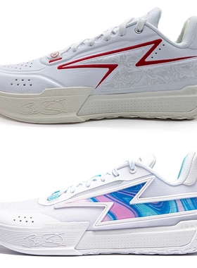 李宁篮球鞋男2024新款韦德GenerationZ篮球场地鞋ABPU039/027XX