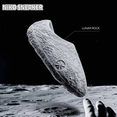 子低帮 李宁篮球场下拖鞋 ABTV009 韦德系列陨石个性 鞋 男鞋 2025新款