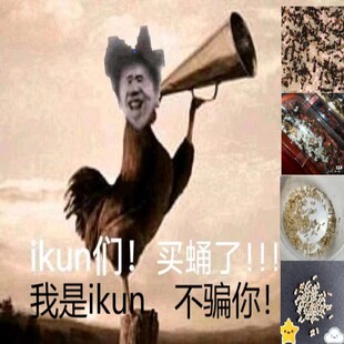 原生野蛮大头工匠白刺针毛勤劳收获蚁新后提速 孤弱后拯救计划