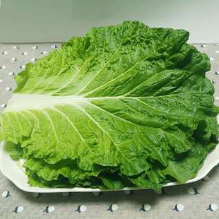100片 泡沫箱保鲜发货 25厘米以上 饭包商用大菜叶