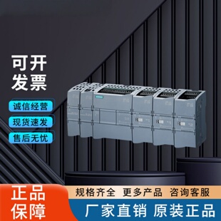 SIEMENS西门子6ES7232-4HD32-0XB0 S7-1200 1215C14输入10输出PLC