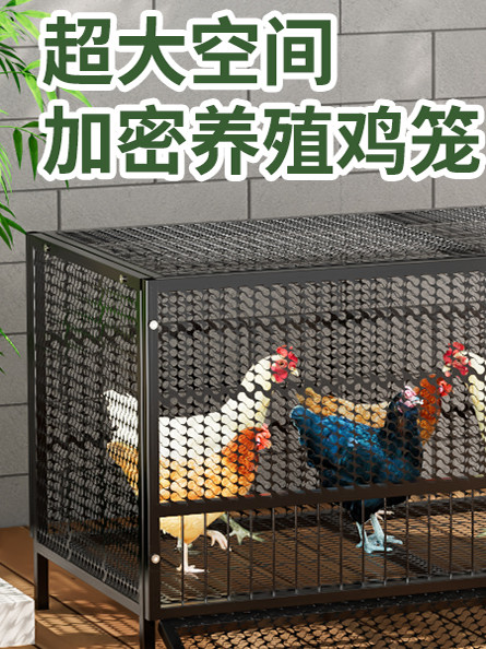 丽派特鸡笼子家用室外大号养殖笼密网加厚农村防黄鼠狼专用小鸡笼