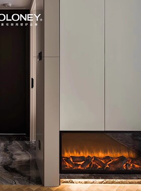 MOLONEY I 莫洛尼品牌仿真火电壁炉芯拒绝低品质/廉价壁炉可定制