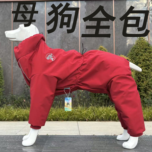 宠物潮牌中大型犬秋冬棉衣加厚冲锋衣金毛边牧拉布拉多滑雪服