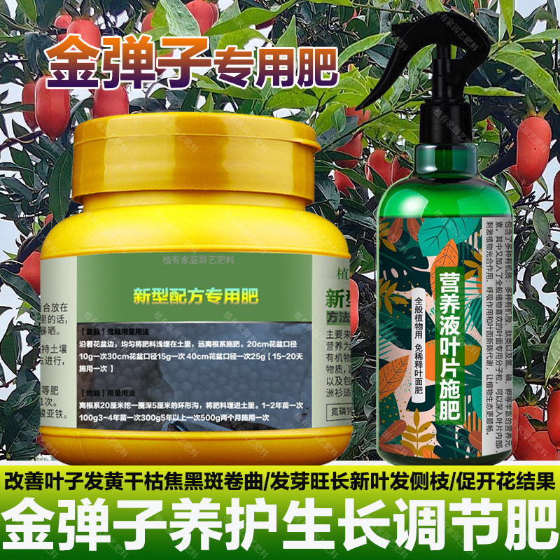 金弹子专用肥料老桩树苗盆景土培盆栽营养液金弹子树叶面肥花肥料,鲜花速递/花卉仿真/绿植园艺,家庭园艺肥料,淘宝优惠券,粉丝福利购,淘宝优惠卷