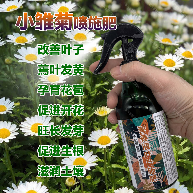 小雏菊专用肥料盆栽种植养护营养液洋甘菊花小丑菊花生长开花肥料,鲜花速递/花卉仿真/绿植园艺,家庭园艺肥料,淘宝优惠券,粉丝福利购,淘宝优惠卷