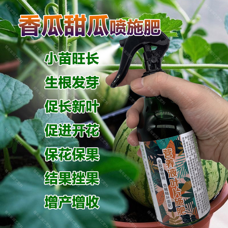 香瓜甜瓜专用肥料盆栽瓜苗旺长生根促发新芽长新叶营养液叶面肥料,鲜花速递/花卉仿真/绿植园艺,家庭园艺肥料,淘宝优惠券,粉丝福利购,淘宝优惠卷