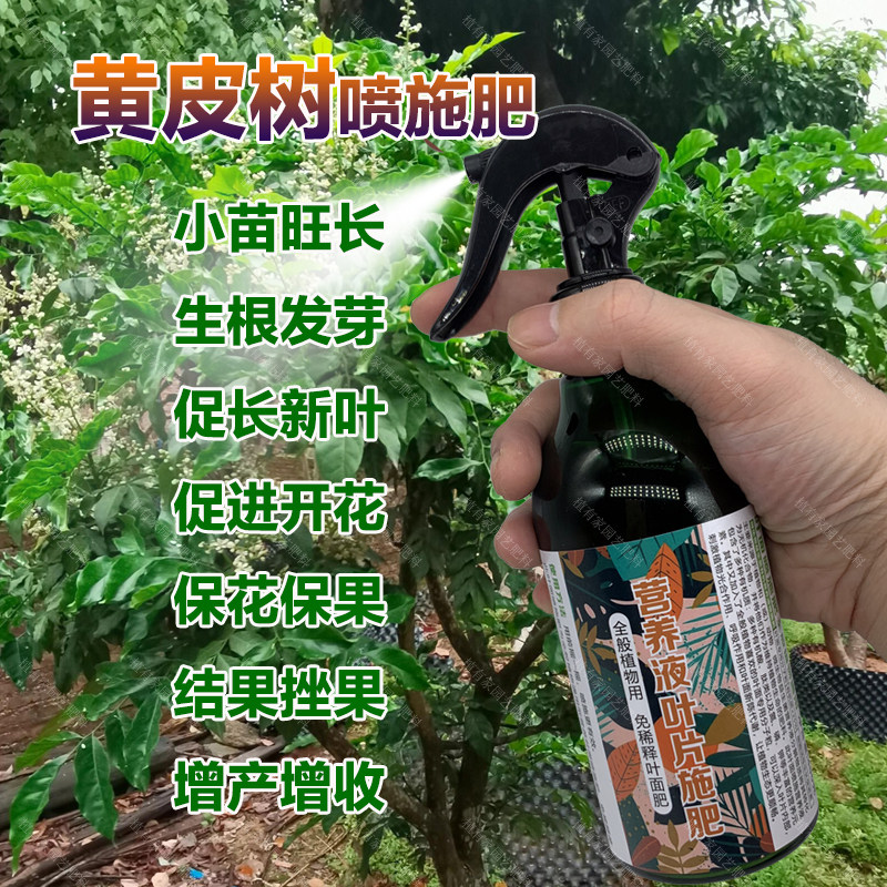 黄皮树专用肥料盆栽黄皮苗旺长生根促发新芽长新叶营养液叶面肥料,鲜花速递/花卉仿真/绿植园艺,家庭园艺肥料,淘宝优惠券,粉丝福利购,淘宝优惠卷