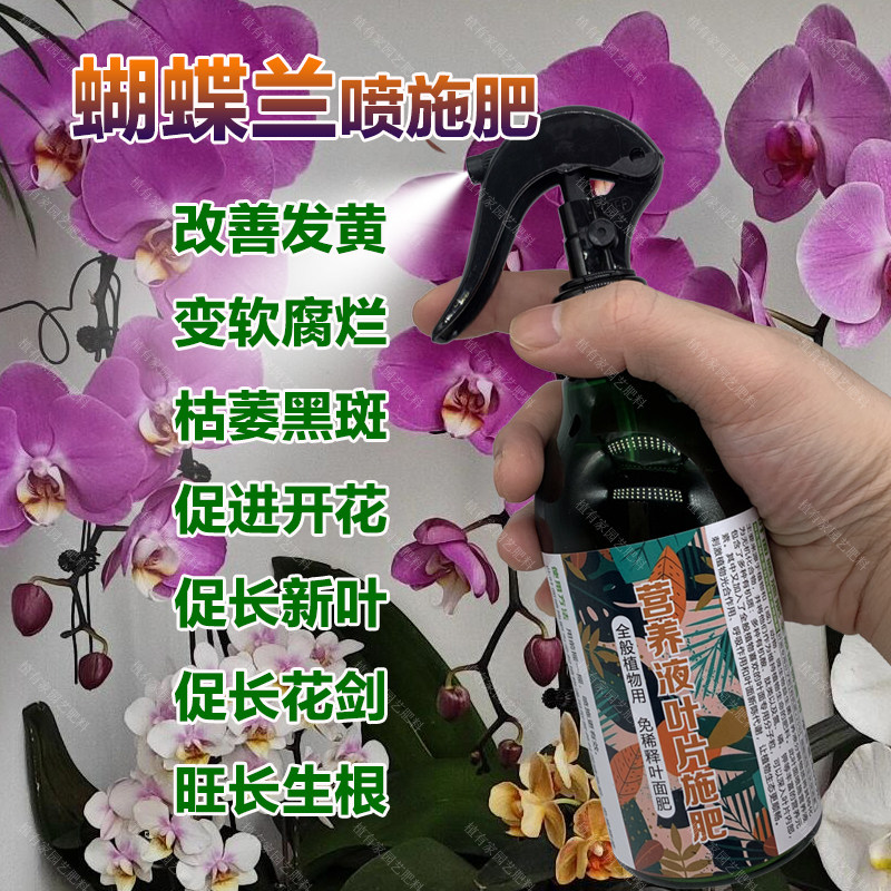 蝴蝶兰专用肥料开花盆栽绿植叶子腐烂变软变蔫黑斑营养液叶面肥料,鲜花速递/花卉仿真/绿植园艺,家庭园艺肥料,淘宝优惠券,粉丝福利购,淘宝优惠卷