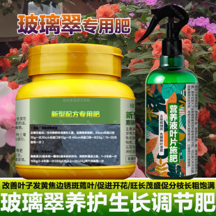 玻璃翠专用肥料盆栽植物营养液叶面肥有机肥颗粒缓释肥水溶化肥料