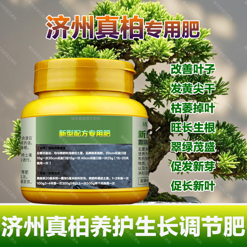 济州真柏专用肥料养护树苗盆景土壤营养液叶面肥有机肥水溶化肥料,鲜花速递/花卉仿真/绿植园艺,家庭园艺肥料,淘宝优惠券,粉丝福利购,淘宝优惠卷