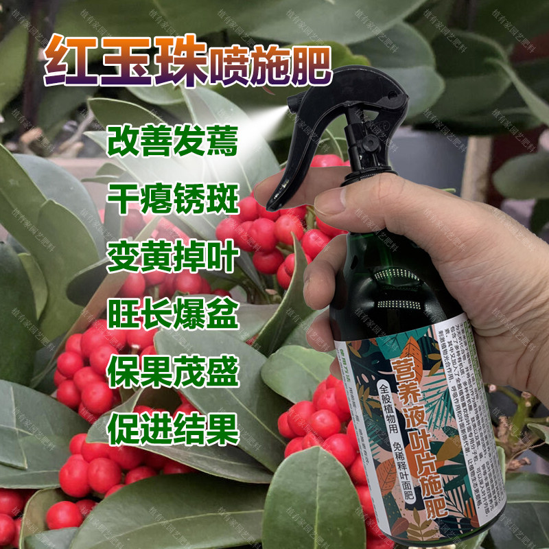 红玉珠专用肥料有机肥盆栽绿植营养液发蔫干瘪锈斑变黄掉叶面肥料,鲜花速递/花卉仿真/绿植园艺,家庭园艺肥料,淘宝优惠券,粉丝福利购,淘宝优惠卷