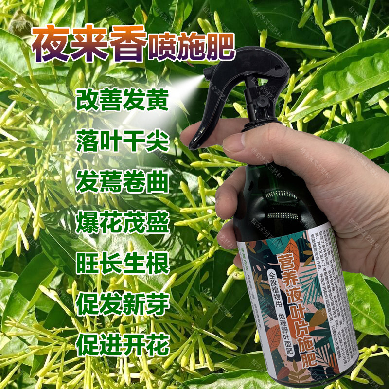 夜来香专用肥料开花苗花盆栽树苗夜来香花专用土营养液叶面肥肥料,鲜花速递/花卉仿真/绿植园艺,家庭园艺肥料,淘宝优惠券,粉丝福利购,淘宝优惠卷