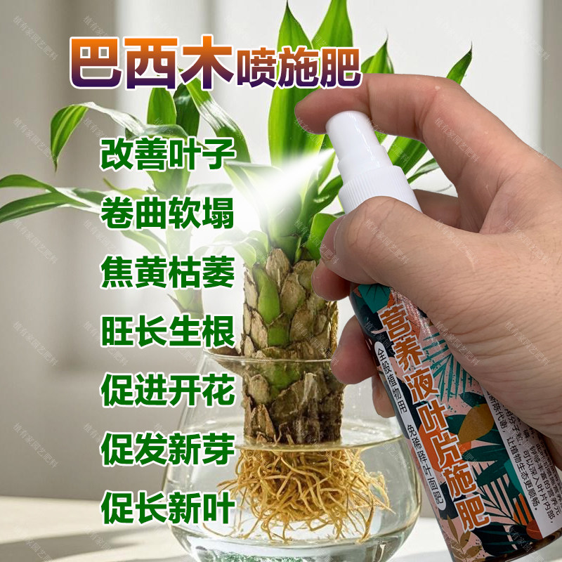 巴西木专用肥料老桩树苗专用土培水培养殖巴旦木营养液叶面肥肥料,鲜花速递/花卉仿真/绿植园艺,家庭园艺肥料,淘宝优惠券,粉丝福利购,淘宝优惠卷