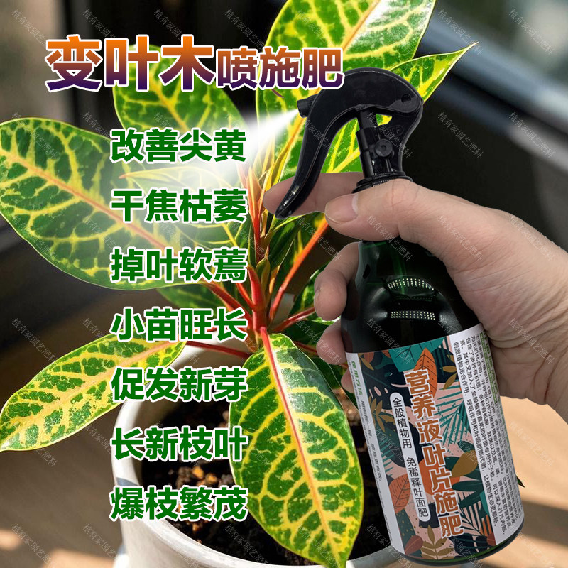 变叶木用肥料花盆栽绿植七彩变色木洒金榕营养液叶面肥叶面肥肥料,鲜花速递/花卉仿真/绿植园艺,家庭园艺肥料,淘宝优惠券,粉丝福利购,淘宝优惠卷