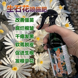 生石花多肉肉植物专用肥料水肥营养液叶面肥肉锥PP花石头屁股花肥