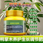 八方来财专用肥料养殖盆景水培土培鸭掌木七叶莲土营养液叶面肥料