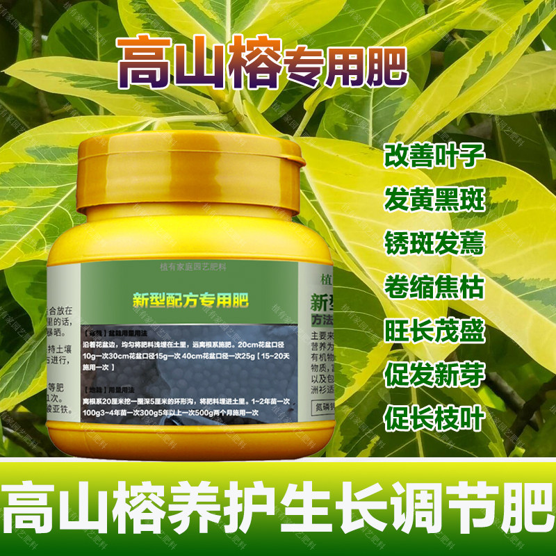 高山榕专用肥料室内绿植高山榕树苗营养液叶面肥叶面肥水溶化肥料,鲜花速递/花卉仿真/绿植园艺,家庭园艺肥料,淘宝优惠券,粉丝福利购,淘宝优惠卷
