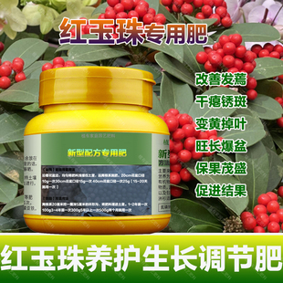 红玉珠专用肥料盆栽绿植营养液旺长爆盆保果茂盛促进结果叶面肥料
