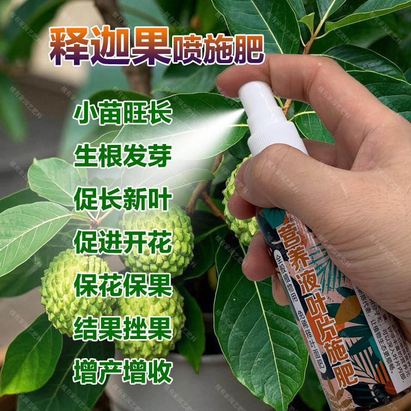 释迦果专用肥料释迦果树营养液叶面肥有机肥盆栽种植土水溶化肥料,鲜花速递/花卉仿真/绿植园艺,家庭园艺肥料,淘宝优惠券,粉丝福利购,淘宝优惠卷
