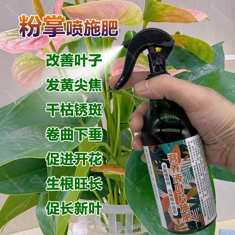 粉掌专用肥料盆栽营养液水培土培开花生根旺长促长新叶叶面肥肥料,鲜花速递/花卉仿真/绿植园艺,家庭园艺肥料,淘宝优惠券,粉丝福利购,淘宝优惠卷