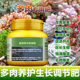 多肉专用肥料盆栽多肉植物玉珠莲千佛手球松肉肉营养液叶面肥肥料