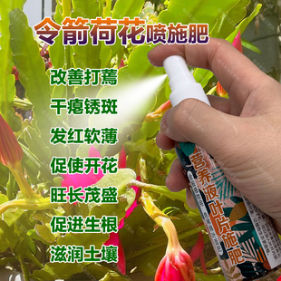 令箭荷花专用肥料花卉营养液叶片干瘪锈打蔫枯萎发红开花发芽肥料